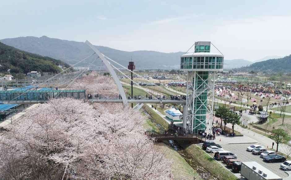 물금벚꽃축제 메인 이미지